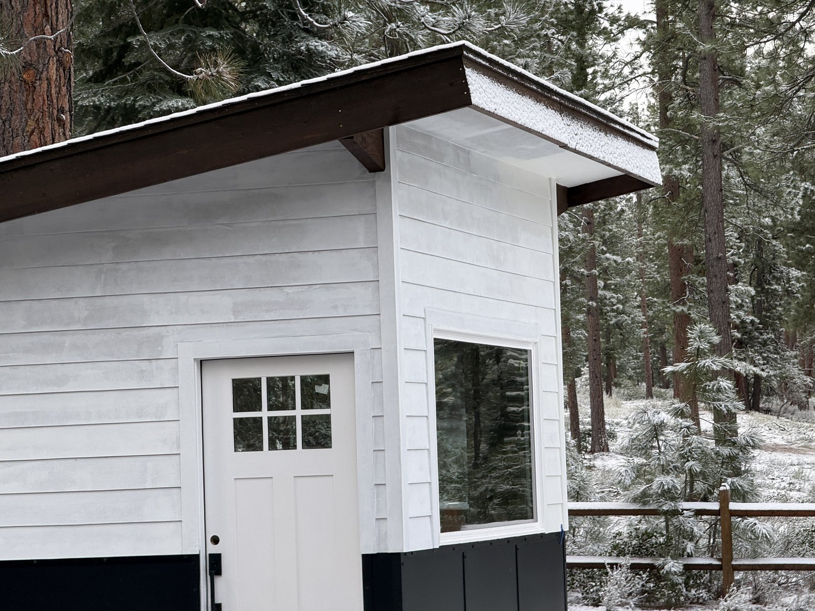 Royal Way Shed spring reveal photo 31